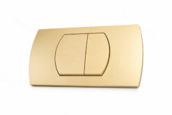 לחצן פלסאון זהב מט 50636844